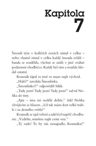 Ukázka