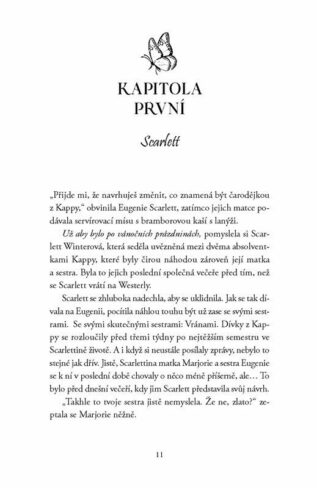 Ukázka