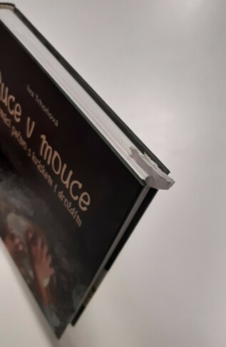 Ruce v mouce - bazar
