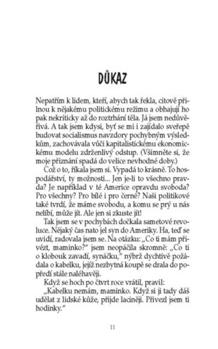 Ukázka