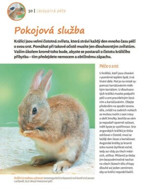 Ukázka