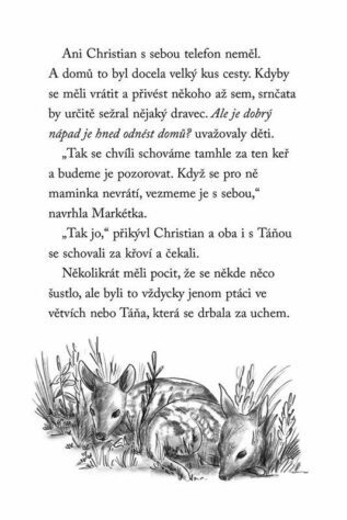 Ukázka