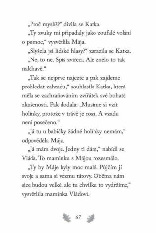 Ukázka