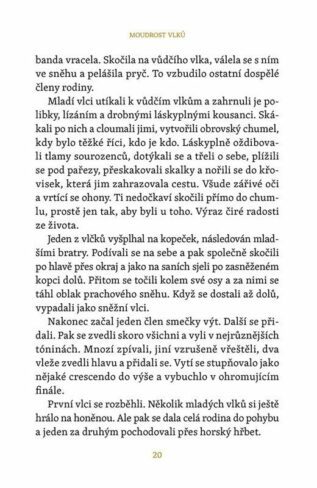 Ukázka