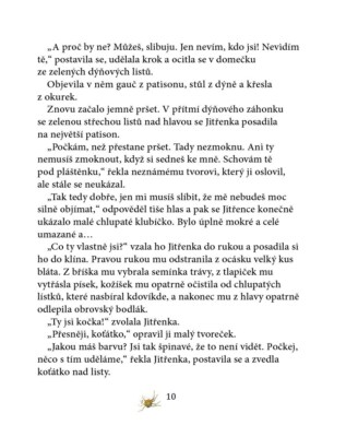Ukázka
