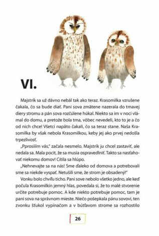 Ukázka