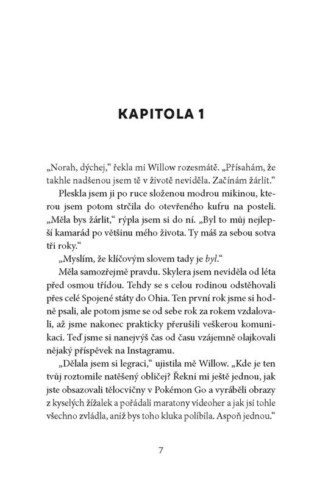 Ukázka