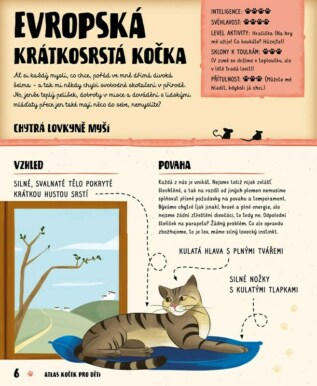 Ukázka