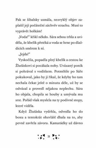 Ukázka