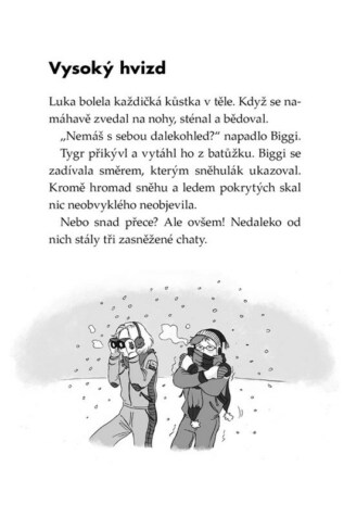 Ukázka