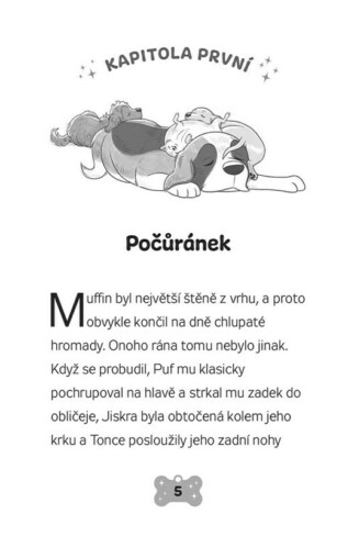 Ukázka