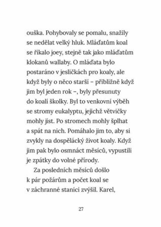 Ukázka