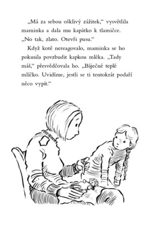 Ukázka