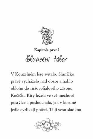 Ukázka