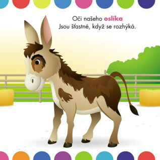 Ukázka