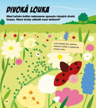 Ukázka