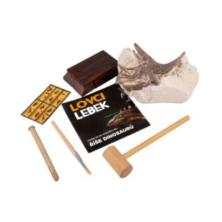 Lovci lebek - Pachycephalosaurus