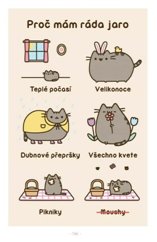 Ukázka