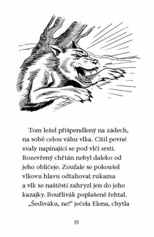 Ukázka