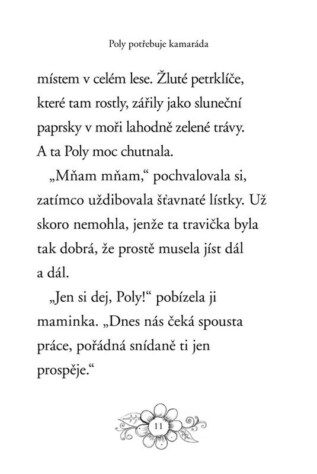 Ukázka