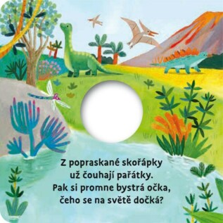 Ukázka