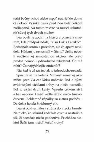 Ukázka