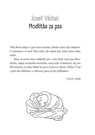 Ukázka
