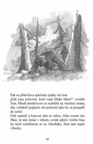 Ukázka