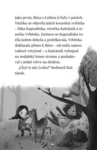 Ukázka