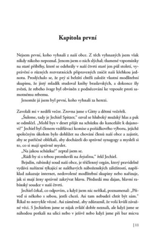Ukázka