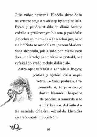 Ukázka