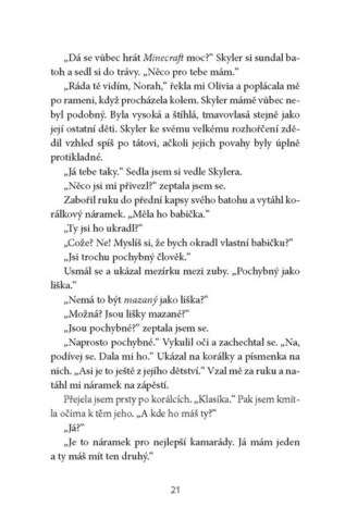 Ukázka