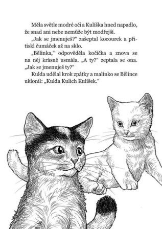 Ukázka