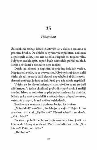 Ukázka
