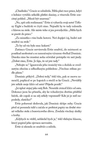 Ukázka
