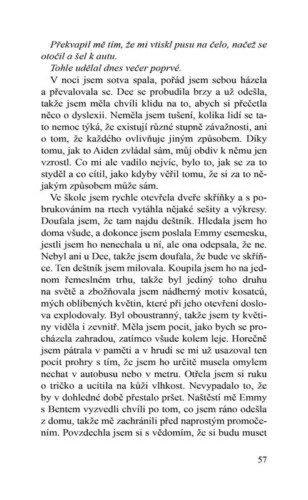 Ukázka