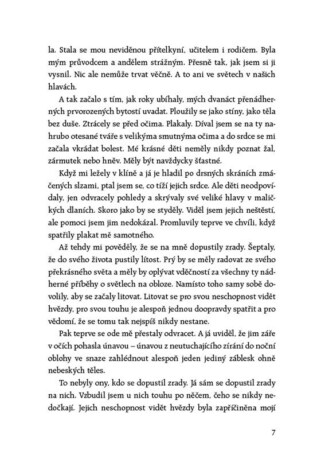 Ukázka