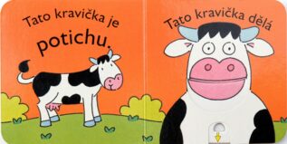 Ukázka