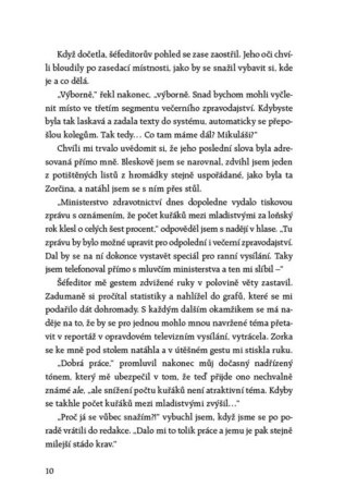 Ukázka