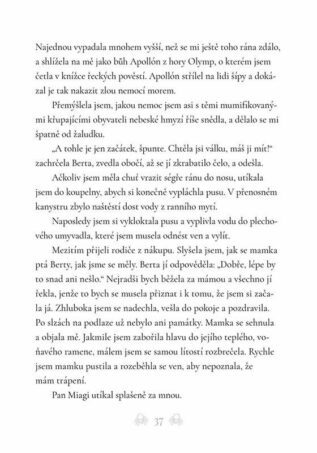 Ukázka