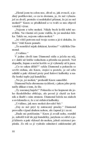Ukázka