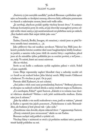 Ukázka