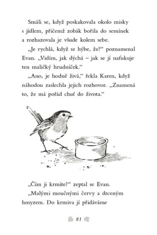 Ukázka