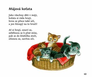 Ukázka