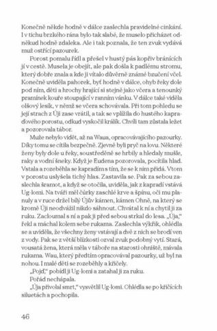 Ukázka