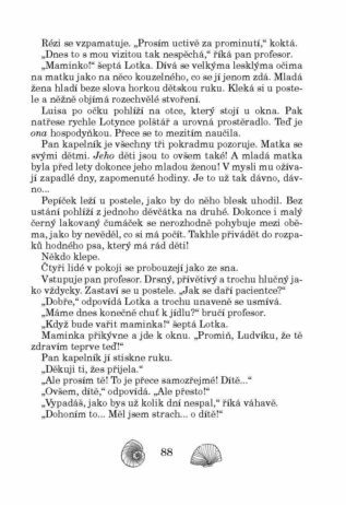 Ukázka