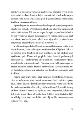 Ukázka