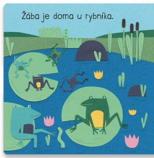 Ukázka
