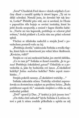 Ukázka