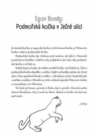 Ukázka